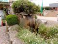 Water Feature